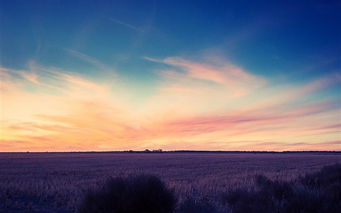 domaine au coucher du soleil-fond d'écran Paysage Vues:15304