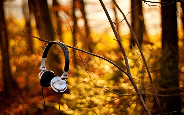 headphone-Summer landscape wallpaper Views:16276 Date:2012/8/8 19:44:33