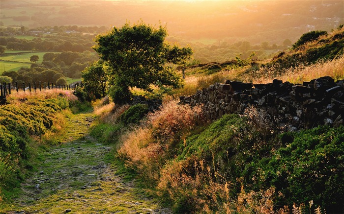 old trail -Summer landscape wallpaper Views:13085 Date:2012/8/8 19:46:52