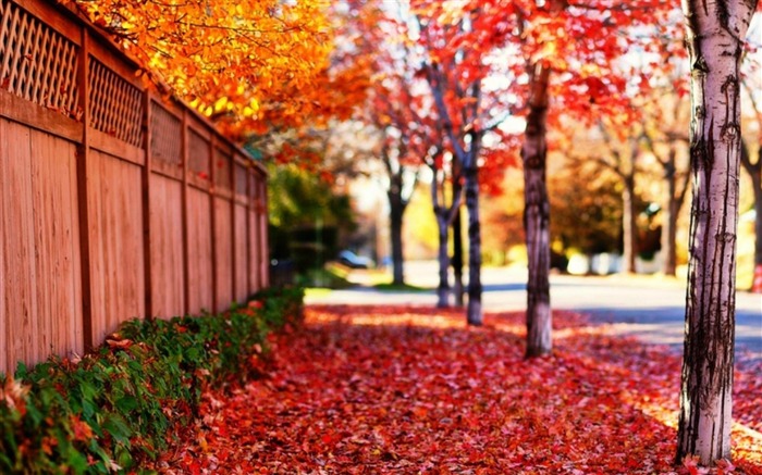 Papel pintado de fotografía de paisajes naturales estéticos Vistas:39851