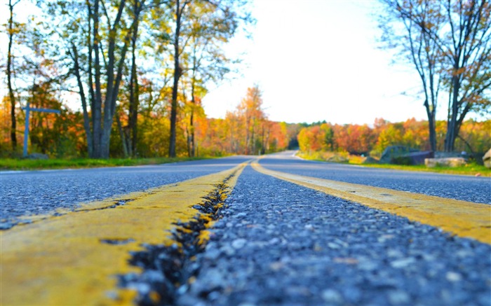 road-Nature landscape fondo de pantalla Vistas:20250