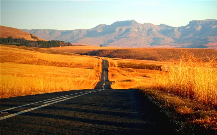 Fondo de pantalla de paisaje de autopista simple Vistas:15561