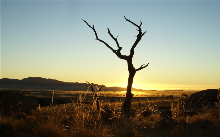 sunset namib desert-Summer landscape wallpaper Views:9633 Date:2012/8/8 19:56:29