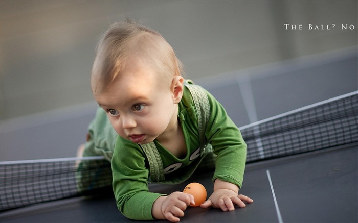 Niño Table Tennis-Papel tapiz de alta calidad Vistas:16639