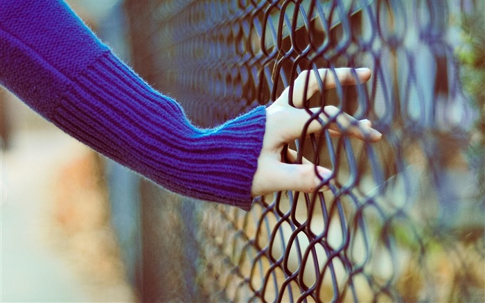 Hand Fence-High Quality wallpaper Views:9993 Date:2012/9/15 10:48:21