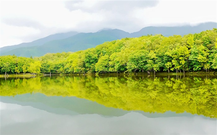 Shiretoko National Park Hokkaido au Japon-fond d'écran paysage naturel Vues:34819