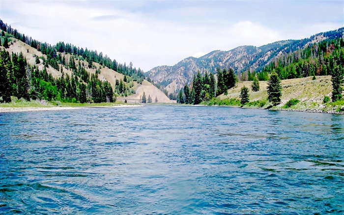 Snake River Jackson Hole Wyoming-naturaleza foto fondo de pantalla Vistas:11288