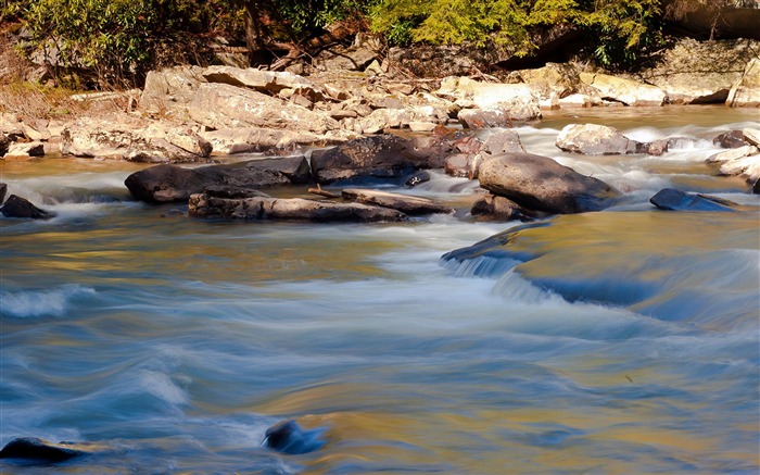 Swallow Falls State Park Maryland-foto de la naturaleza fondo de pantalla Vistas:9717