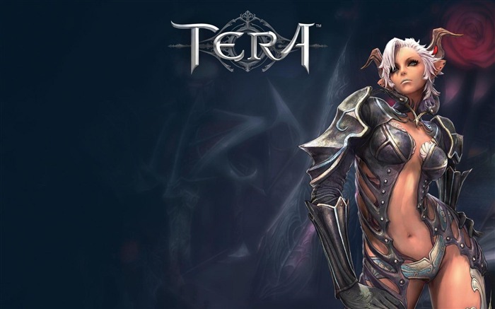 TERA Game HD Wallpaper 18 Vistas:20353