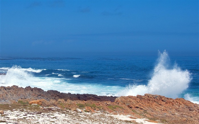 Table Mountain National Park Cape Town South Africa-natural scenery wallpaper Views:15692 Date:2012/9/11 1:10:01