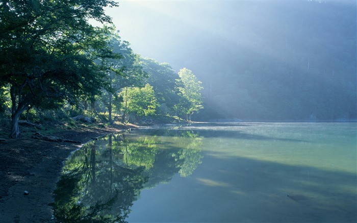 lago verde en bosque-Naturaleza Fondos de paisajes Vistas:22942