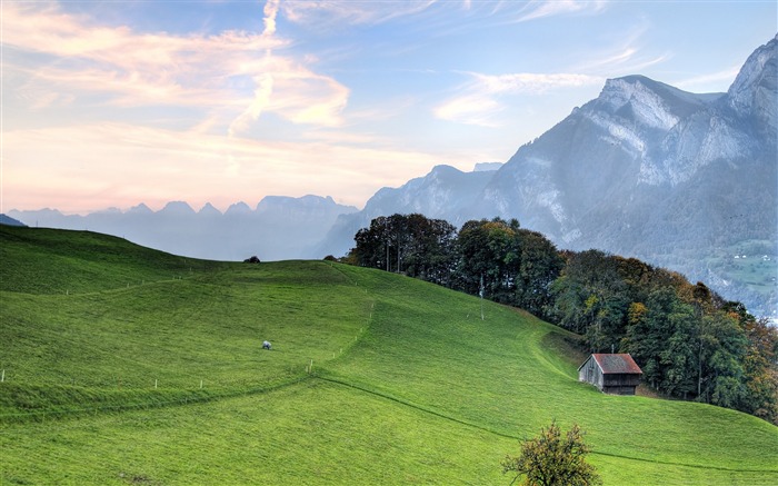 Pasto de la montaña-Fondos de paisajes de naturaleza Vistas:23196