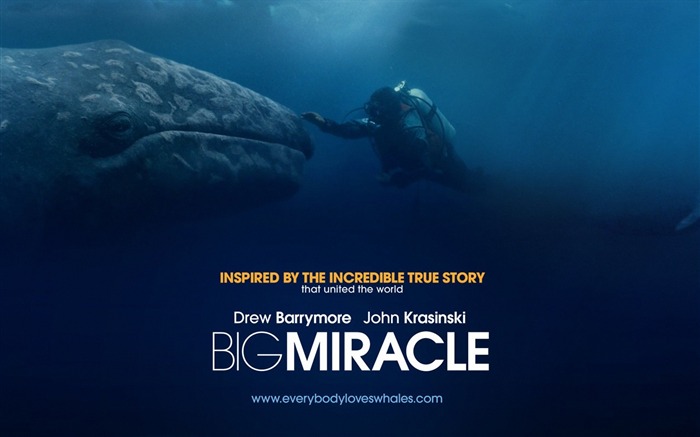 Big Miracle 巨大奇迹 2012电影高清桌面壁纸 浏览:8863