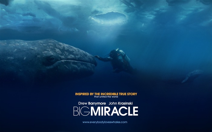 Big Miracle 2012 Movie HD Desktop Wallpapers 04 Views:8444 Date:2012/10/27 14:30:54