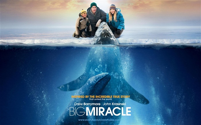 Big Miracle 2012 Movie HD Desktop Wallpapers 06 Visualizações:8708