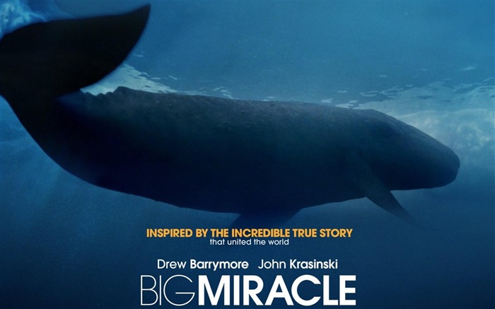 Big Miracle 2012 Movie HD Desktop Wallpapers 07 Views:8697 Date:2012/10/27 14:32:09