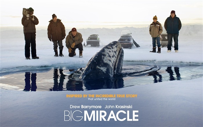 Papéis de Parede de Big Miracle 2012 Movie HD Visualizações:17668