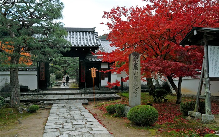 Feuille d'érable rouge Kyoto Enkoji Temple automne fond d'écran Vues:38731