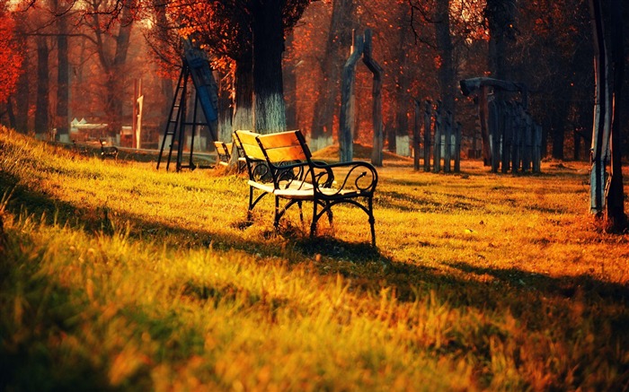 Papel pintado con pantalla ancha de Golden Park Bench-Autumn landscape Vistas:28470