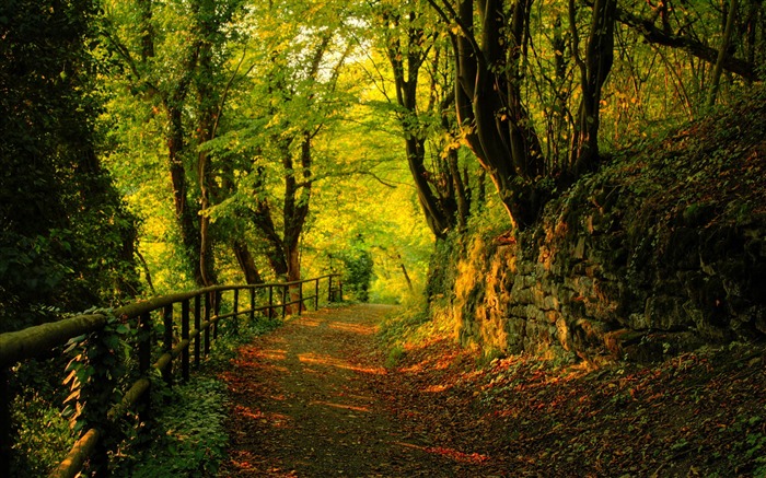 Camino de montaña caducifolio-otoño paisaje fondo de pantalla panorámica Vistas:27317