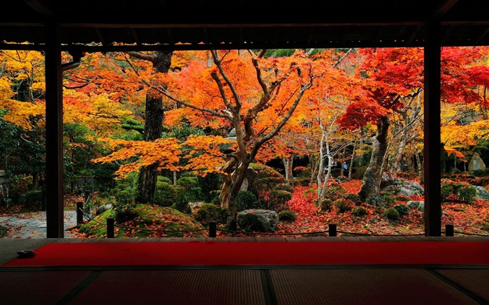 O templo de 10 gado Hongye-Enkoji Temple Autumn wallpaper Visualizações:36036