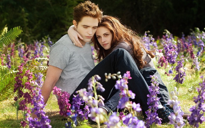 The Twilight Saga: Breaking film aube HD Fonds d'écran Vues:25266