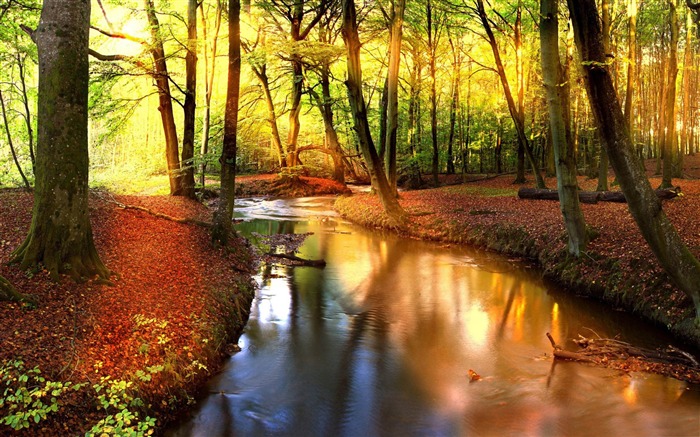 paisaje de otoño impresionante Vistas:17828