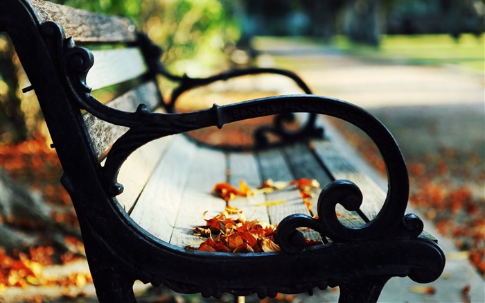 feuilles sur un banc-Autumn landscape widescreen Fond d'écran Vues:9951