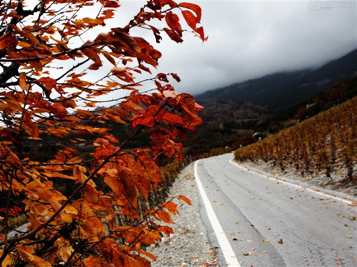 paisaje de pantalla panorámica de otoño otoño montaña Vistas:9200