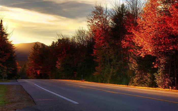 Estrada no papel de parede new hampshire-autumn landscape Visualizações:12073