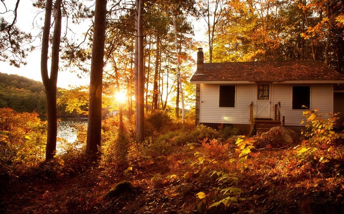 paisaje blanco de la cabaña-otoño Vistas:18397