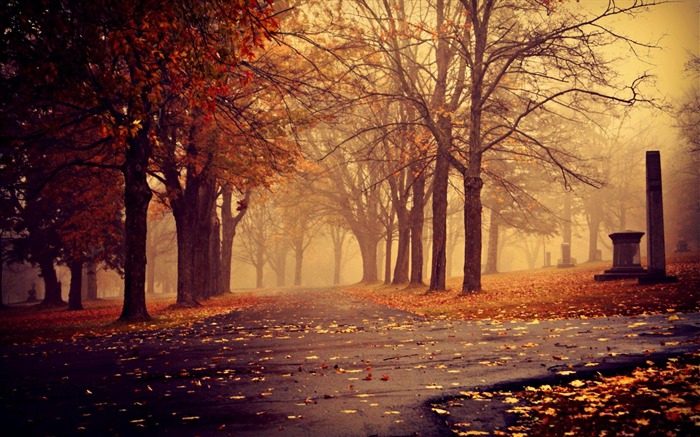 Morning Park Autumn-nature scenery wallpapers Views:12538 Date:2012/11/4 21:55:28