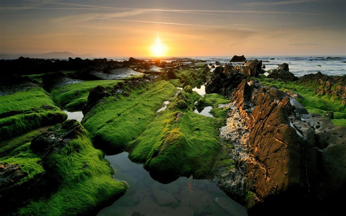 岩の海岸-2012年注目の風景壁紙 ブラウズ:9632