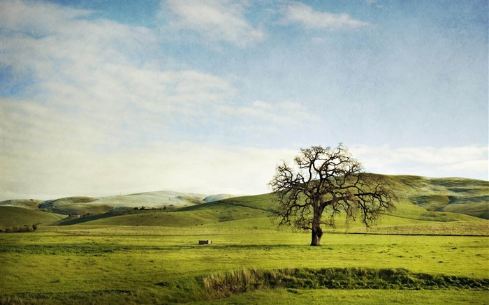 Rolling Hills-2012 landscape Selected Wallpaper Views:9898 Date:2012/11/17 12:06:23