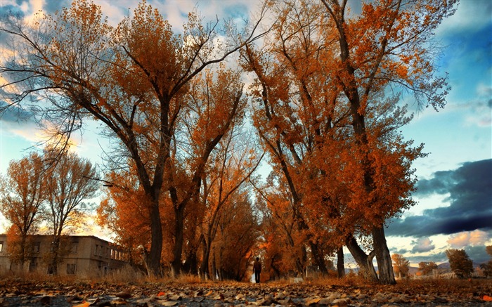 armenia gyumri-otoño del paisaje natural Wallpaper Vistas:13082