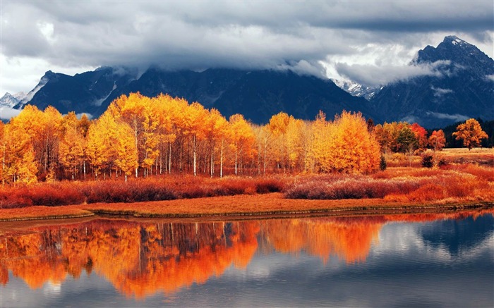 autumn-nature scenery wallpapers Views:18064 Date:2012/11/4 21:46:55