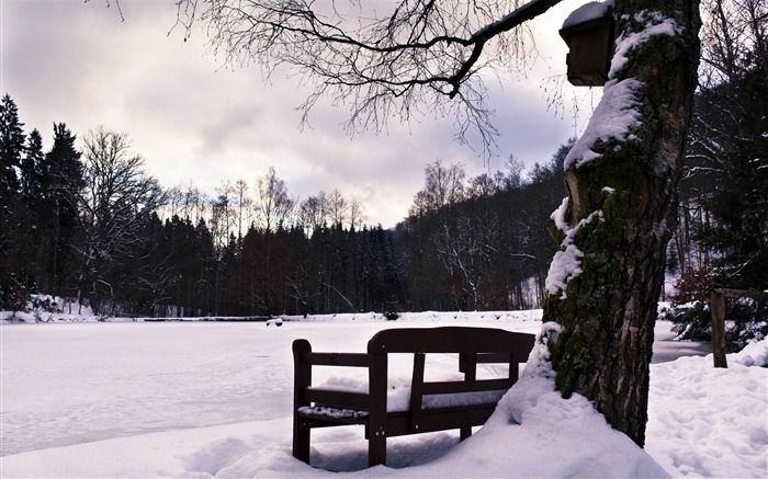 banco en invierno-invierno escenas de nieve fondo de pantalla Vistas:12873