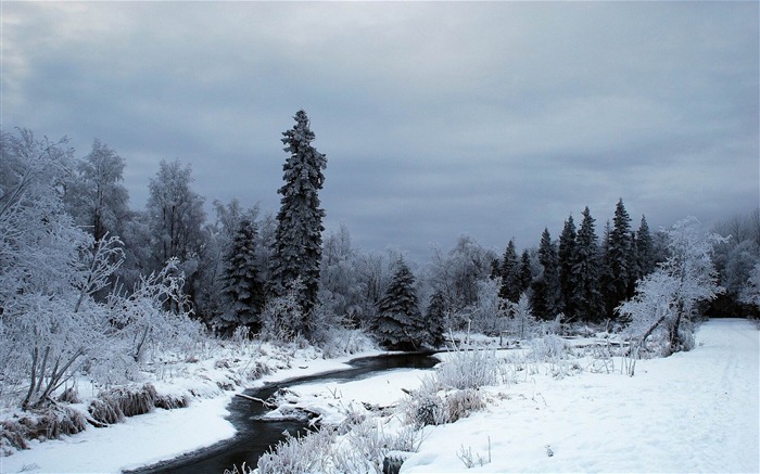 溪-冬季雪景桌面壁纸 浏览:12256