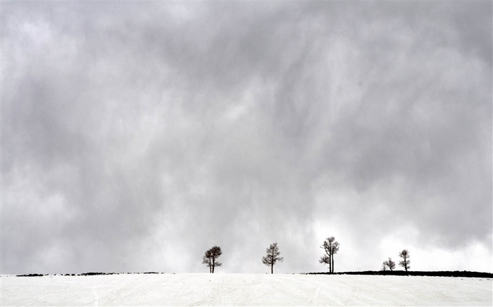 fairview canyon-Winter snow scenes fondo de pantalla Vistas:10203