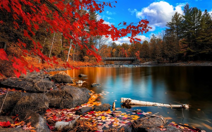 Papéis de parede floresta paisagem lago-natureza Visualizações:23388