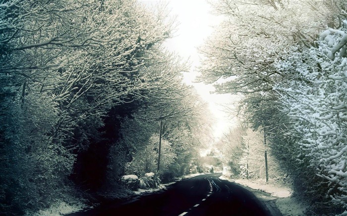 route dans la forêt-fond d'écran paysages d'hiver Vues:15460