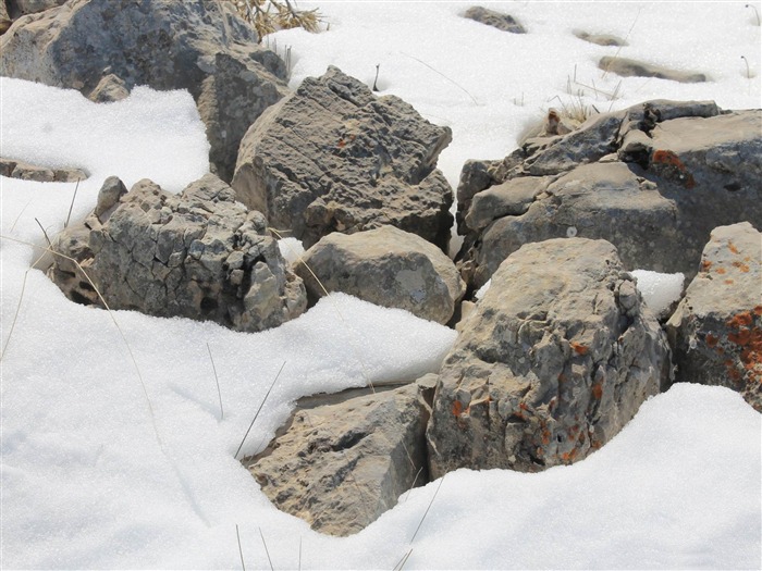 rocas en la nieve-Paisaje natural de invierno fondo de pantalla Vistas:10918