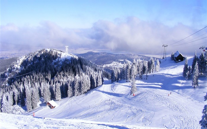 ski slope-winter scenery HD Wallpaper Views:28365 Date:2012/11/26 23:51:10