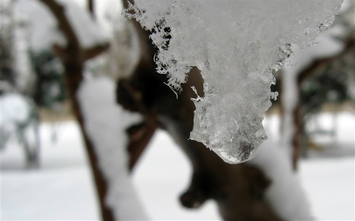 nieve hielo-invierno paisaje natural fondo de pantalla Vistas:8610