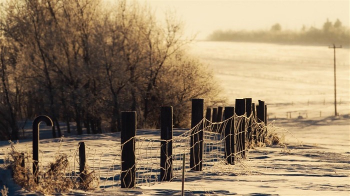 Snowy field-beautiful landscape wallpaper Visualizações:8318