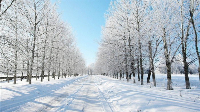 paisaje nevado carretera-invierno HD fondo de pantalla Vistas:145406