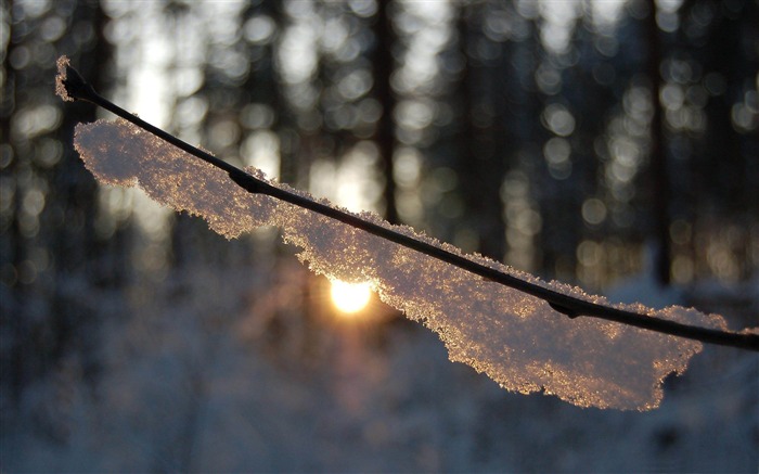 sol de inverno quente-inverno wallpaper de cenas de neve Visualizações:14560