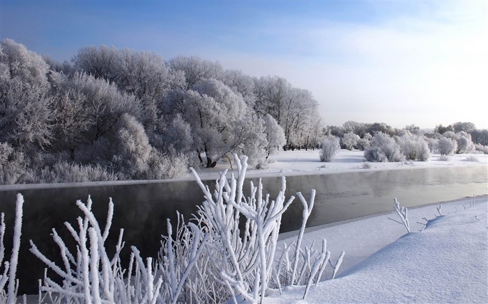 invierno en el bosque paisaje-invierno paisaje HD fondo de pantalla Vistas:13758