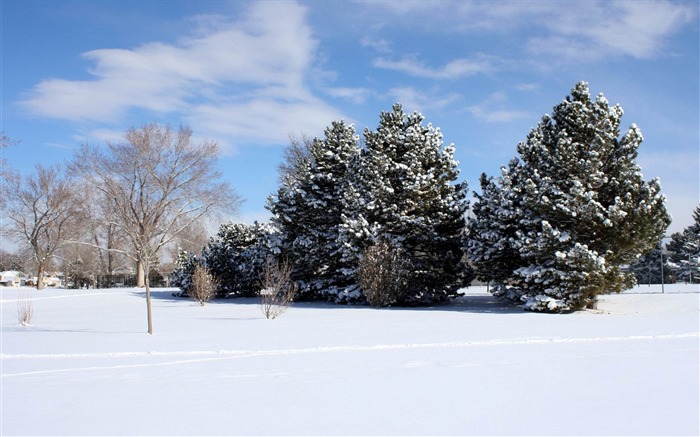 paisaje de invierno-invierno paisaje HD Fondos de escritorio Vistas:12178