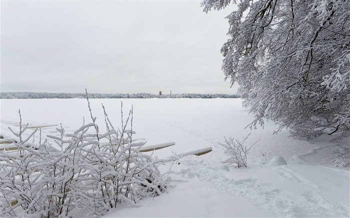 invierno littoinen finlandia-Invierno paisaje natural fondo de pantalla Vistas:8303